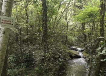 Vallon de l’Aiguebrun : le parc naturel régional du Luberon étudie la fréquentation du site