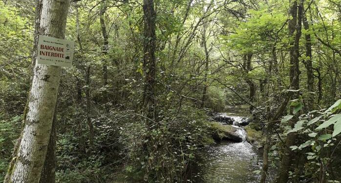 Vallon de l’Aiguebrun : le parc naturel régional du Luberon étudie la fréquentation du site