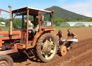 Gard, La Noria, la ferme agro-écologique qui intrigue tant