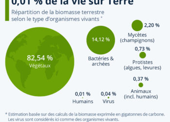 L’humanité ne pèse que 0,01 % de la masse de la vie sur Terre