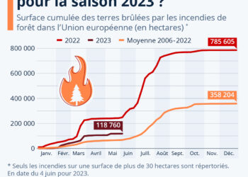Feux de forêt : quelle tendance pour la saison 2023 en Europe ?