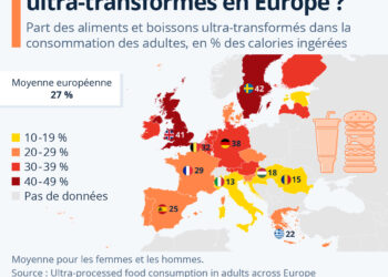 Dans quels pays d’Europe mange-t-on le plus d’aliments ultra-transformés ?