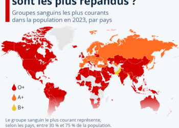 Quels groupes sanguins sont les plus courants dans le monde ?