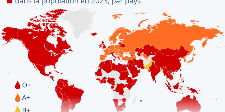Quels groupes sanguins sont les plus courants dans le monde ?