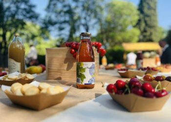 « Terroirs en fête » s’enracinent en Vaucluse