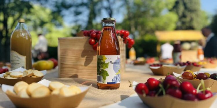 « Terroirs en fête » s’enracinent en Vaucluse