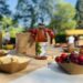 « Terroirs en fête » s’enracinent en Vaucluse