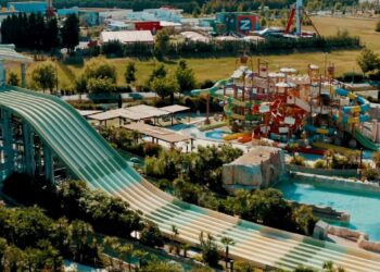 Wave Island : « cette année, l’investissement est tourné vers la sobriété »