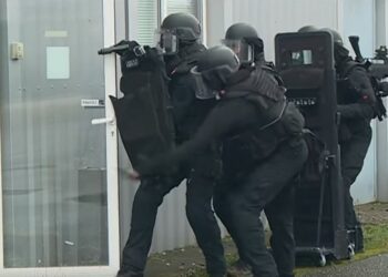 Le Raid intervient dans le quartier des amandiers à Carpentras