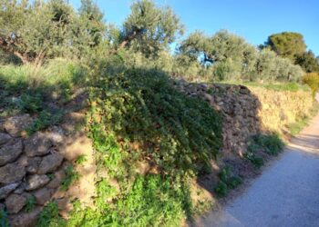 Beaumes-de-Venise lauréate du programme ‘Patrimoine naturel et Biodiversité 2023’