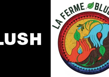 La boutique avignonnaise Lush récolte des fonds pour sensibiliser à l’environnement