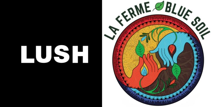 La boutique avignonnaise Lush récolte des fonds pour sensibiliser à l’environnement