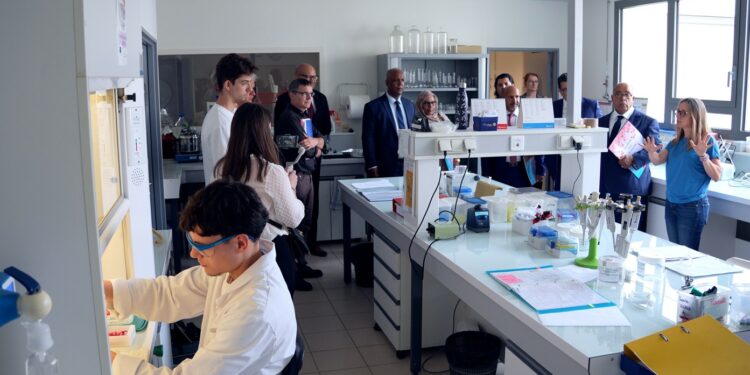 Maroc, Chine : la CCI de Vaucluse affiche ses ambitions à l’international