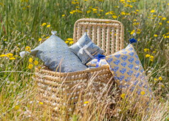 Tourisme : deux marques Vauclusiennes portent les couleurs de la Provence