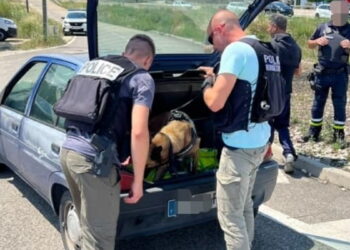 Les Angles : 18 infractions relevées lors d’un contrôle de police et de gendarmerie