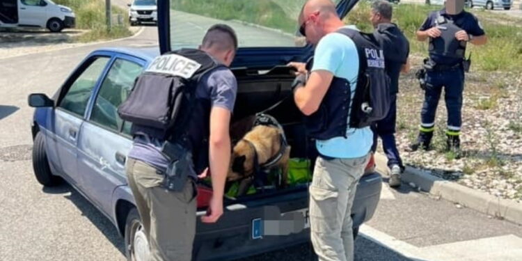 Les Angles : 18 infractions relevées lors d’un contrôle de police et de gendarmerie