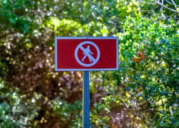 Sorgues : l’accès aux massifs forestiers est interdit tout l’été