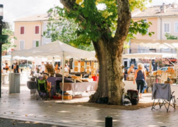 Vaison-la-Romaine : l’art à l’honneur ce week-end