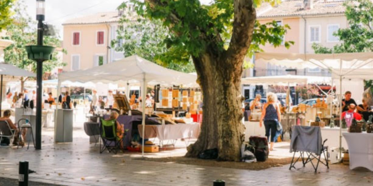 Vaison-la-Romaine : l’art à l’honneur ce week-end