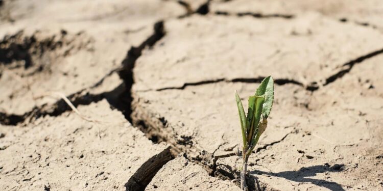 Les restrictions d’eau maintenues pour 18 communes de Vaucluse