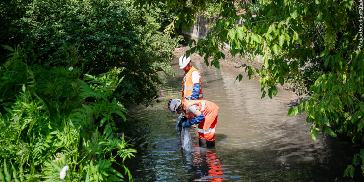 Grand Avignon, La Ville et Véolia partenaires pour nettoyer le Canal de Vaucluse