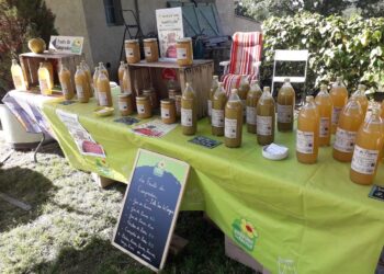 Isle-sur-la-Sorgue : la ferme Les Fruits du Campredon fait son marché
