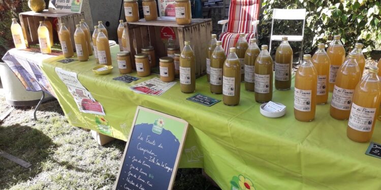 Isle-sur-la-Sorgue : la ferme Les Fruits du Campredon fait son marché