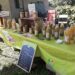 Isle-sur-la-Sorgue : la ferme Les Fruits du Campredon fait son marché
