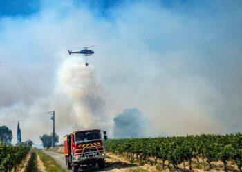 Vigilance feux de forêts : l’accès aux forêts vauclusiennes interdit par endroits
