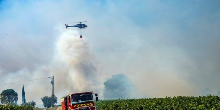 Vigilance feux de forêts : l’accès aux forêts vauclusiennes interdit par endroits
