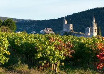 Vins du Duché d’Uzès : 10 ans d’Appellation d’Origine Protégée, ça se fête !