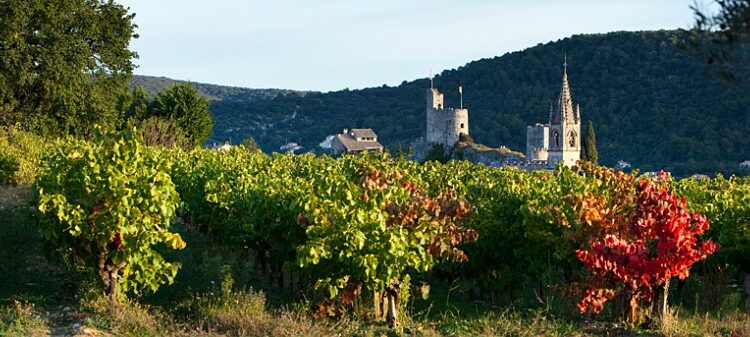 Vins du Duché d’Uzès : 10 ans d’Appellation d’Origine Protégée, ça se fête !