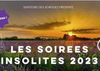 Le Thor propose les soirées insolites