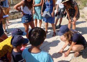 Luberon : suivez la piste d’animaux qui vivaient là il y a 33 millions d’années