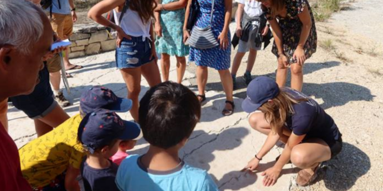 Luberon : suivez la piste d’animaux qui vivaient là il y a 33 millions d’années