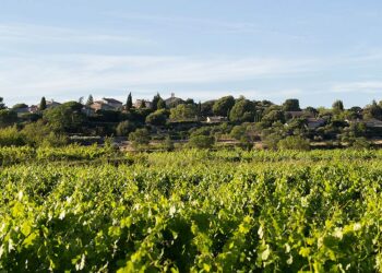 Gordes : découvrez les rendez-vous de juillet