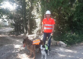 Jonquières : des chiens pour éviter que l’eau ne prenne la fuite