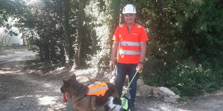 Jonquières : des chiens pour éviter que l’eau ne prenne la fuite