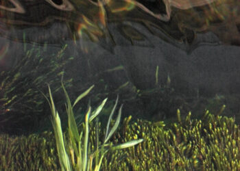 La Sorgue : exposition des photographies de Rémi Michel