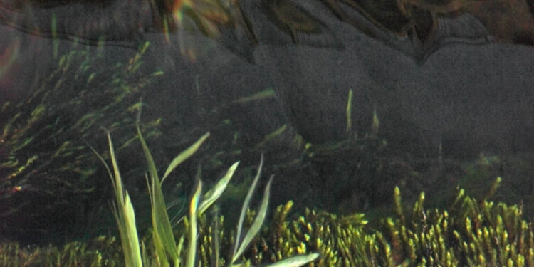 La Sorgue : exposition des photographies de Rémi Michel