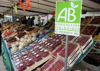 60 millions d’euros pour soutenir l’agriculture biologique