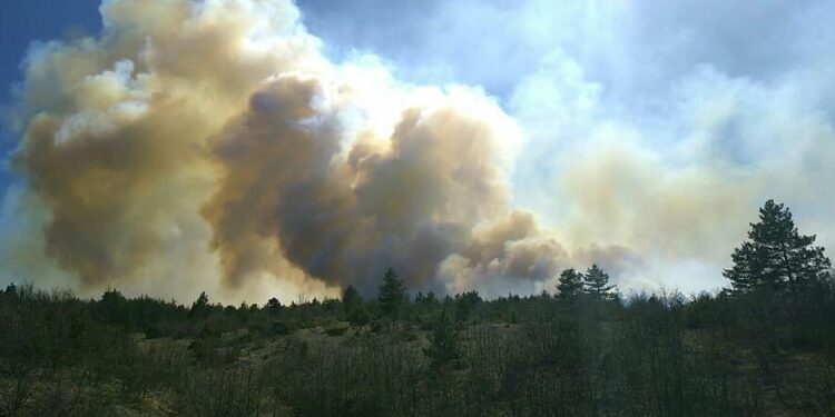 Accès interdit aux massifs de la vallée du Rhône ce vendredi 4 août