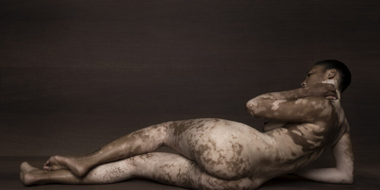 Arles : focus sur la relation entre les plantes et l’Homme jusqu’à fin septembre