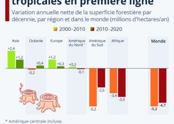 Déforestation : les forêts tropicales en première ligne