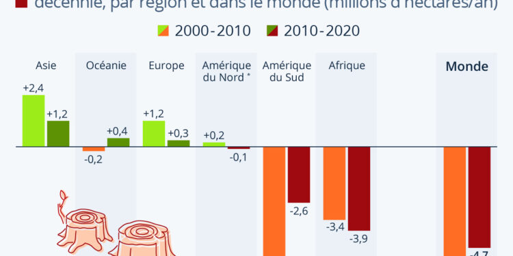 Déforestation : les forêts tropicales en première ligne