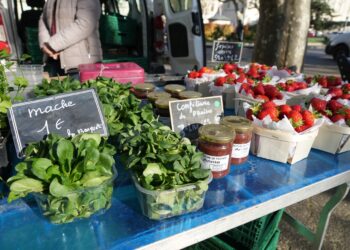 Carpentras : le marché des producteurs s’accorde une pause le 15 août