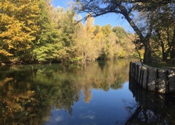 Dernière opération de nettoyage de la Sorgue de l’année le samedi 2 septembre