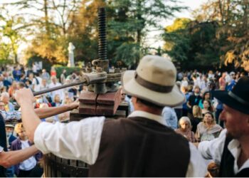 (Vidéo) Avignon, le Rocher des Doms s’apprête à accueillir le 27e ban des vendanges