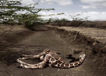 Arles : ‘See Through the Noise’, la première exposition collective de la Fondation VII