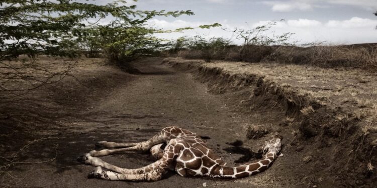 Arles : ‘See Through the Noise’, la première exposition collective de la Fondation VII